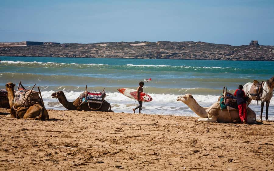Essaouira Atlantic coast Day trip from marrakech - Why Essaouira makes a good escape from Marrakech