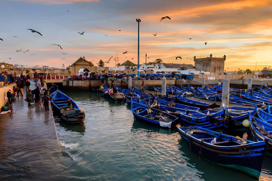 Essaouira Day Trip from Agadir - Price and overall value at $43