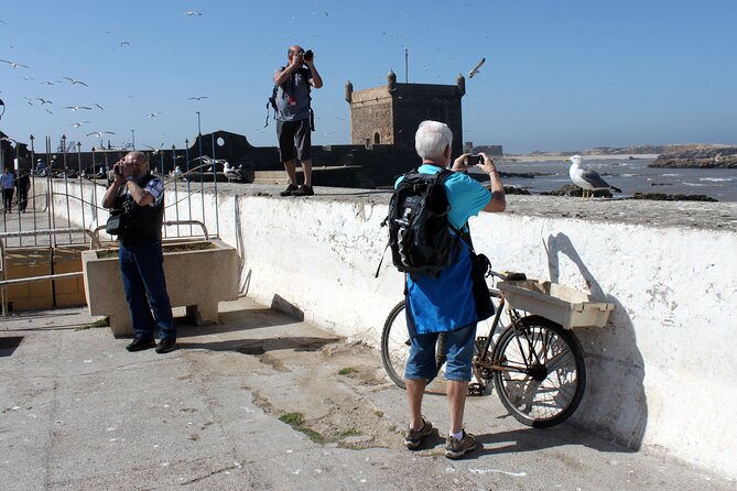 Essaouira Day Trip from Marrakech - Walking Essaouira’s port and fish market