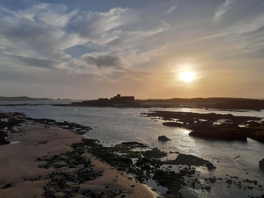 Essaouira Day Trip from Marrakech _ medina, old port - Fresh Fish Lunch and Extra Costs