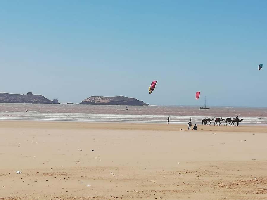 Essaouira Day Trip from Marrakech _ medina, old port - Guides, Drivers, and the Shared-Minibus Pace
