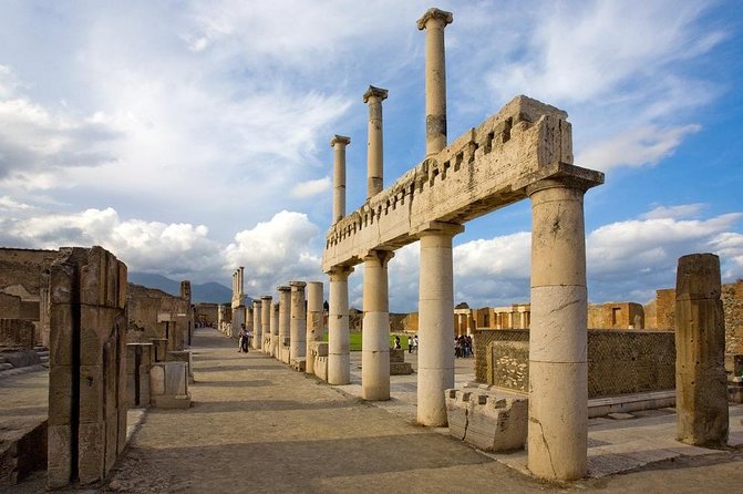 Explore Pompeii Half Day Highlights Tour with Pickup from Naples - Fast-Track Entry and First Views of Pompeii