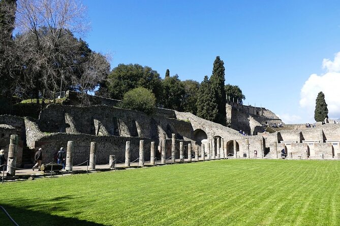 Explore Pompeii Half Day Highlights Tour with Pickup from Naples - Who Should Book This Pompeii Tour?