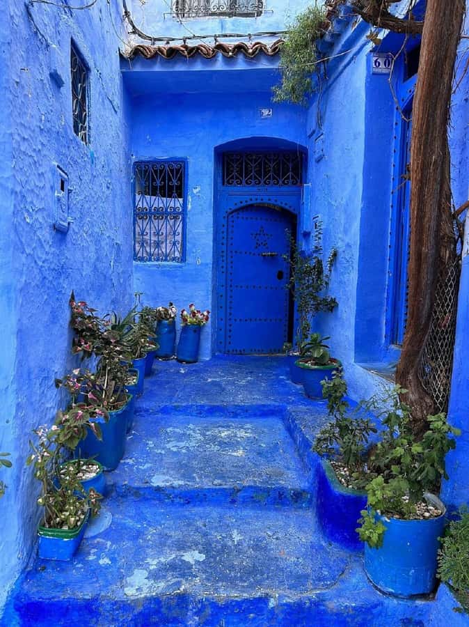 Fes to Chefchaouen Day Trip multi languages(EN/FR/ES/IT/AR) - The long road from Fes to the Blue City