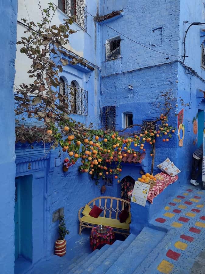 Fes to Chefchaouen Day Trip multi languages(EN/FR/ES/IT/AR) - Transport, seating, and driver quality
