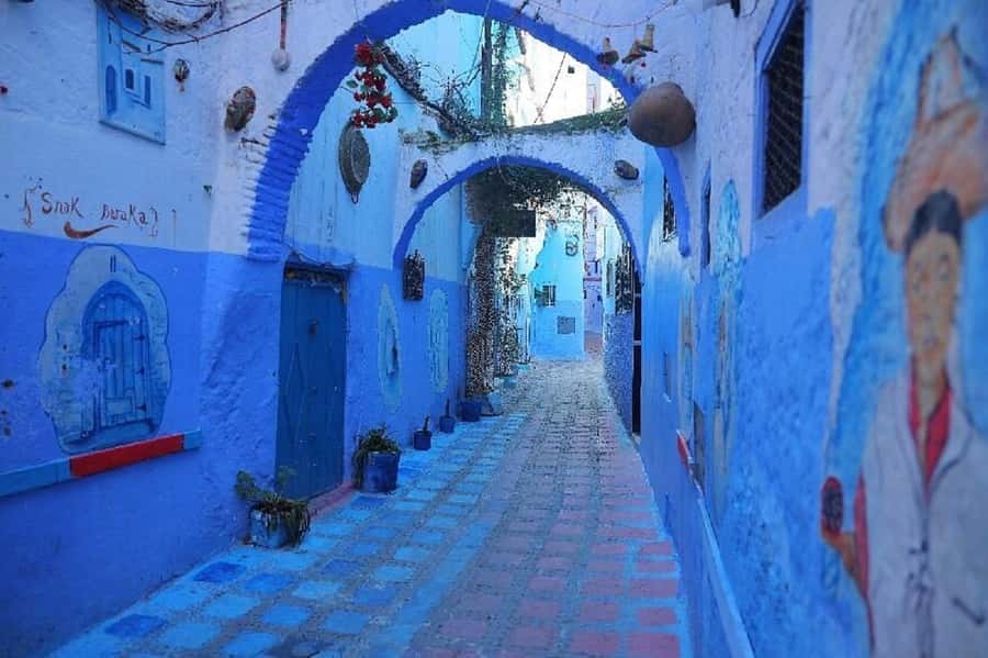 Fes to Chefchaouen Day Trip multi languages(EN/FR/ES/IT/AR) - Who will enjoy this day trip most