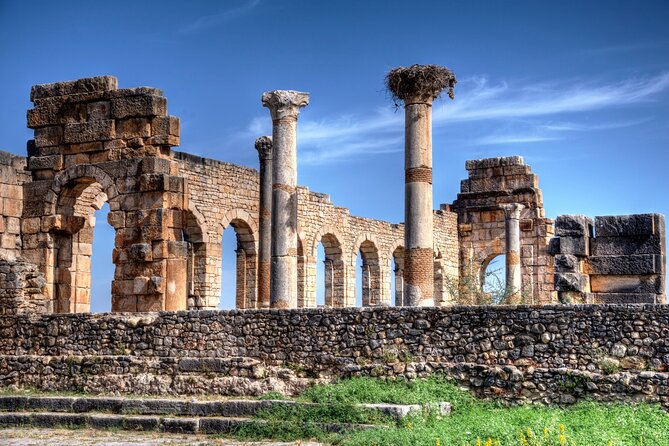 Fes to Volubilis, Moulay Idriss and Meknes Private Day Trip - Volubilis: Roman mosaics under the open sky