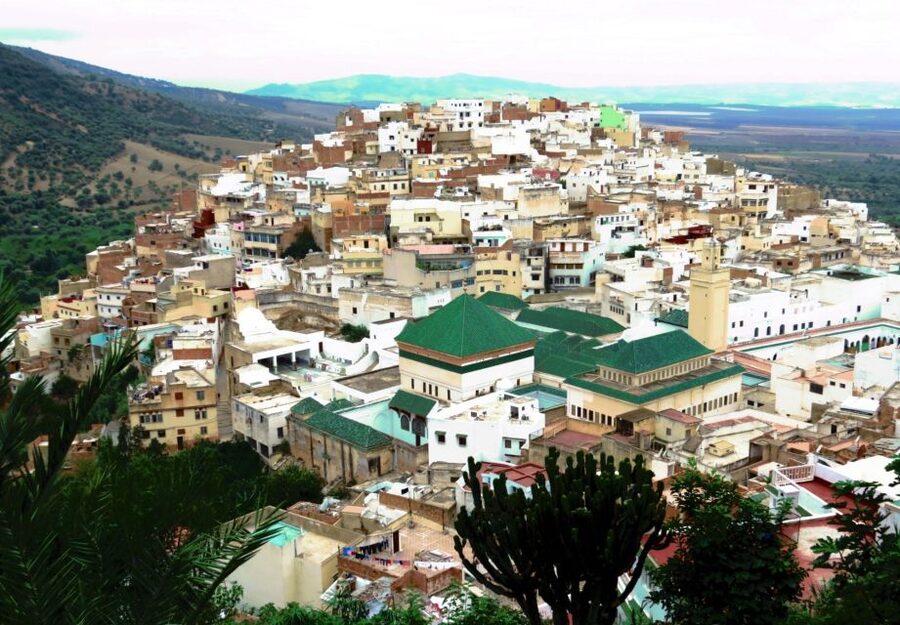 Fes: Volubilis Roman Ruins, Mouly Idriss, & Meknes Day Trip - Practical tips for getting more from the day