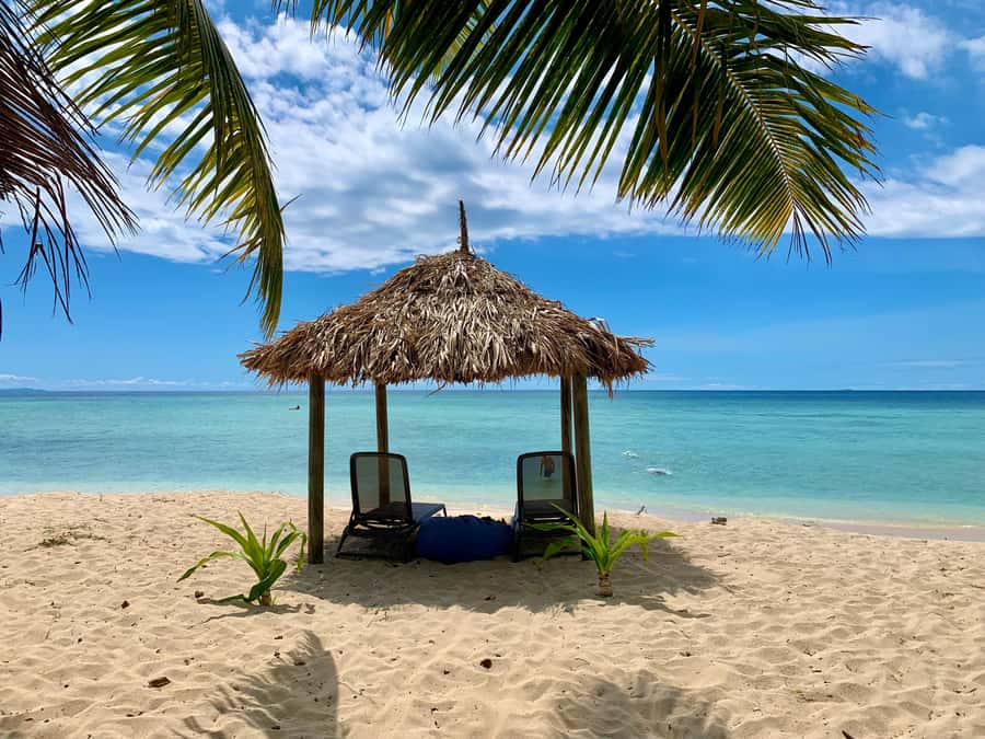 Fiji: Captain Cook Cruises - Island & Reef Day Trip - Key points before you book
