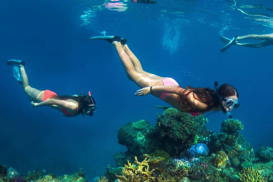 Fiji: Captain Cook Cruises - Island & Reef Day Trip - Optional extras and what costs more
