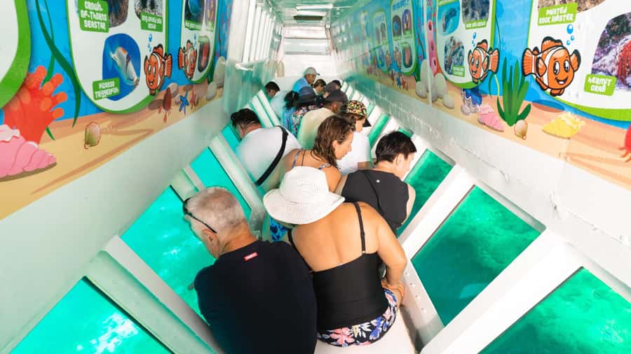 Fiji: South Sea Island Half-Day Trip with Lunch - What to bring and what to know before booking