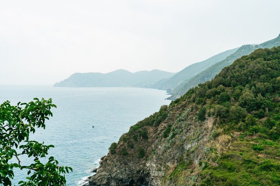 Florence: Cinque Terre Day Trip with Optional Hiking or Pisa - The Pisa option and who should choose it