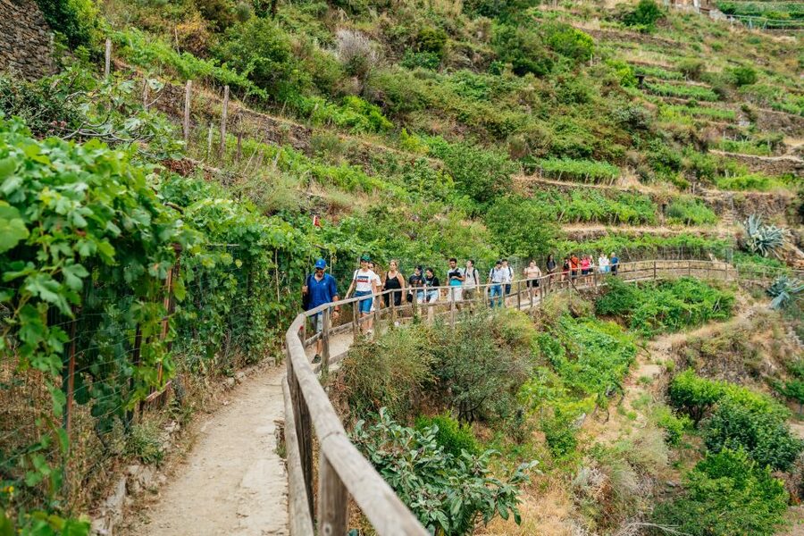 Florence: Cinque Terre Day Trip with Optional Hiking or Pisa - The early coach ride to La Spezia