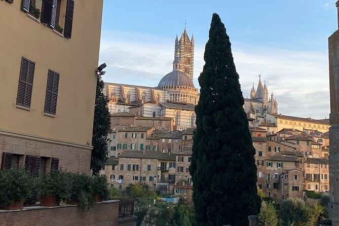 Florence: Day Trip with Free Time in San Gimignano and Siena - What the tour leader adds