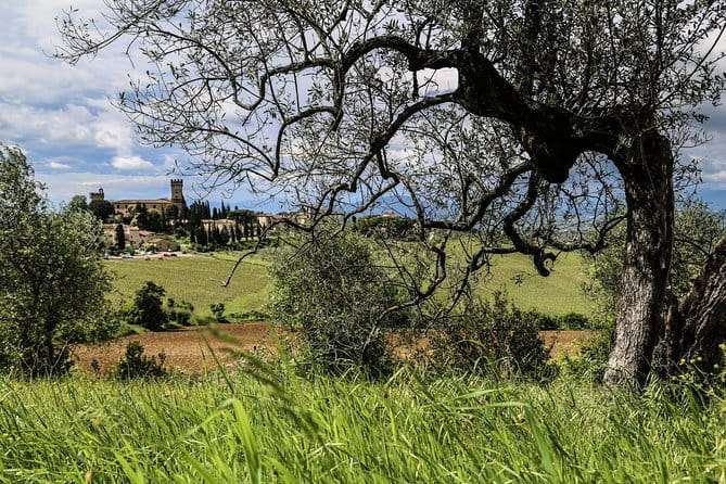 Florence: Day Trip with Free Time in San Gimignano and Siena - Is $71 good value?