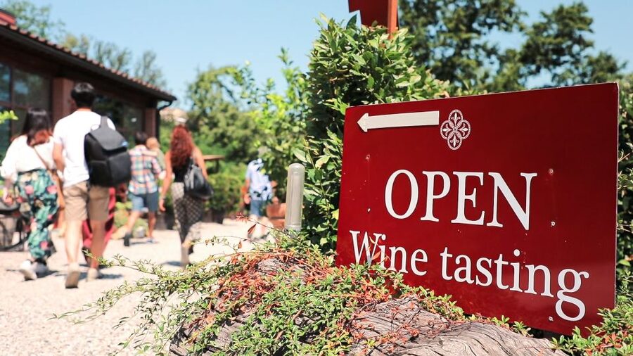Florence: Pisa, Siena, S. Gimignano, Chianti Wine & Lunch - Who should book this day trip