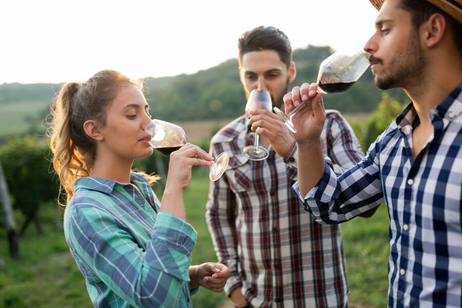 Florence: Wineries, Tastings, Lunch & San Gimignano Day Trip - Guides can turn a scheduled day into a personal one