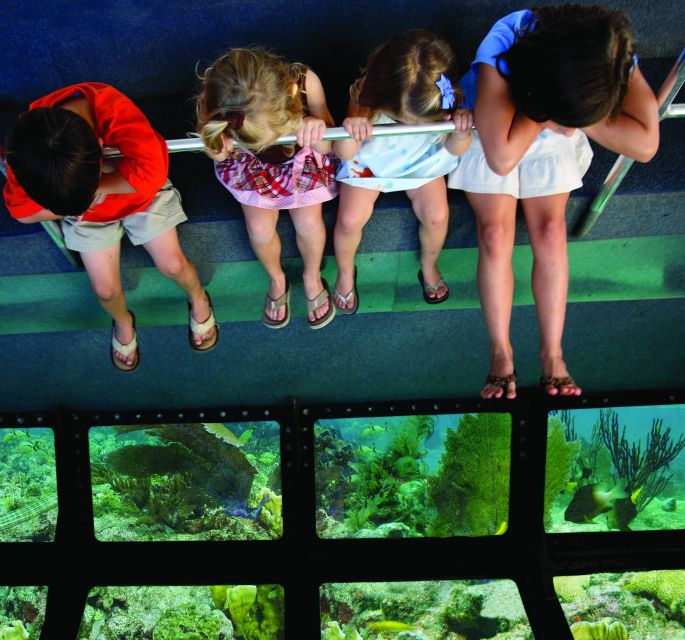 Fort Lauderdale: Key West Day Trip with Optional Activities - Booking tips that protect your afternoon