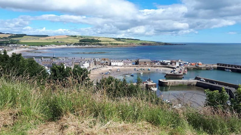 From Aberdeen: Guided Day Trip, Coast & Castle Visit - A full day beyond Aberdeen’s city streets