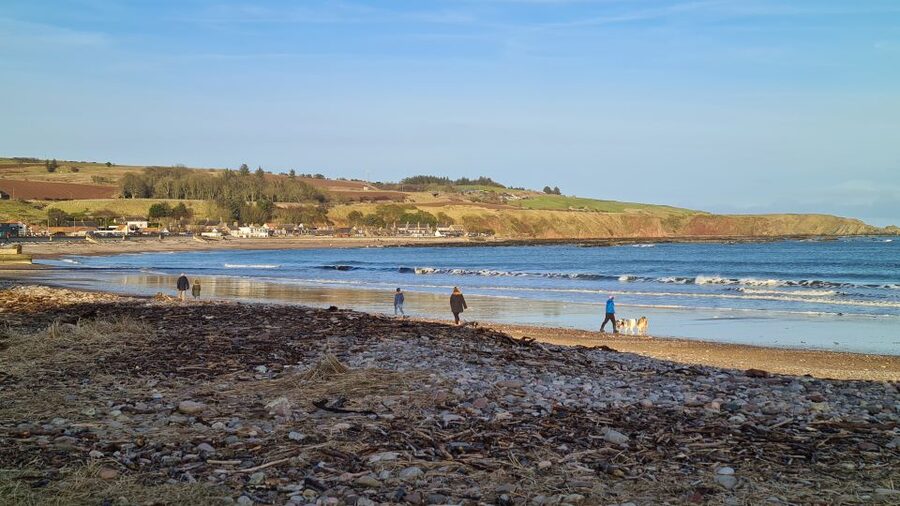 From Aberdeen: Guided Day Trip, Coast & Castle Visit - Gourdon, a working fishing village