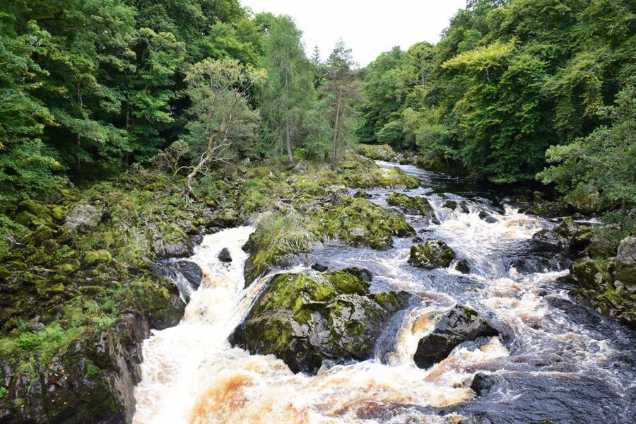 From Aberdeen: Guided Day Trip, Coast & Castle Visit - What the £134 price really covers