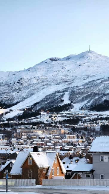 From Abisko: Narvik City and Fjord Day Trip - From Abisko’s mountains to Norway’s fjords