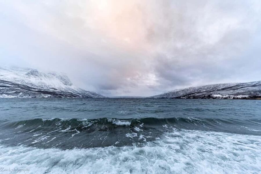 From Abisko: Narvik City and Fjord Day Trip - The guides make the difference