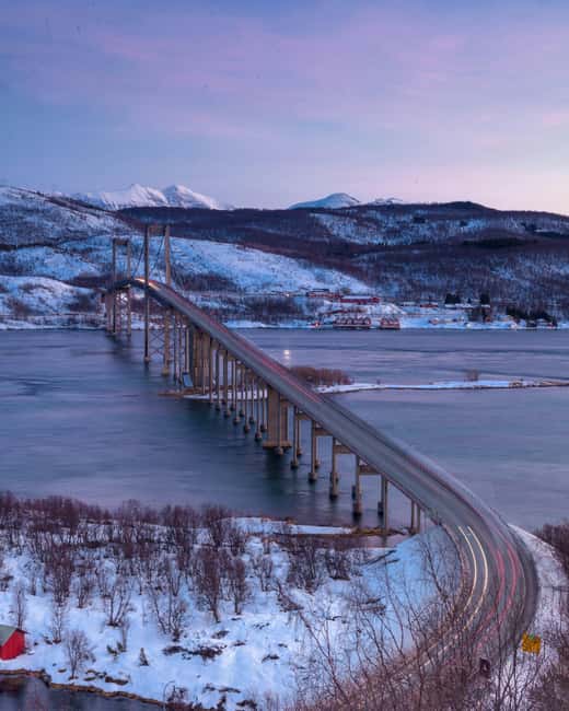 From Abisko: Narvik City and Fjord Day Trip - Should you book it?