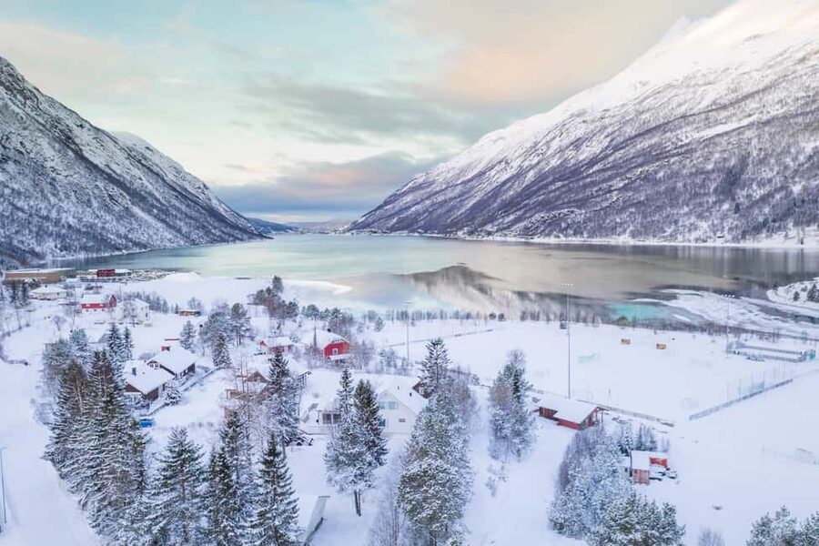 From Abisko: Narvik City and Fjord Day Trip - Narvik: city time with a fjord view