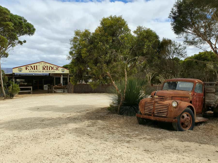 From Adelaide: Kangaroo Island Sip and See Day Trip - Why this Kangaroo Island day trip works