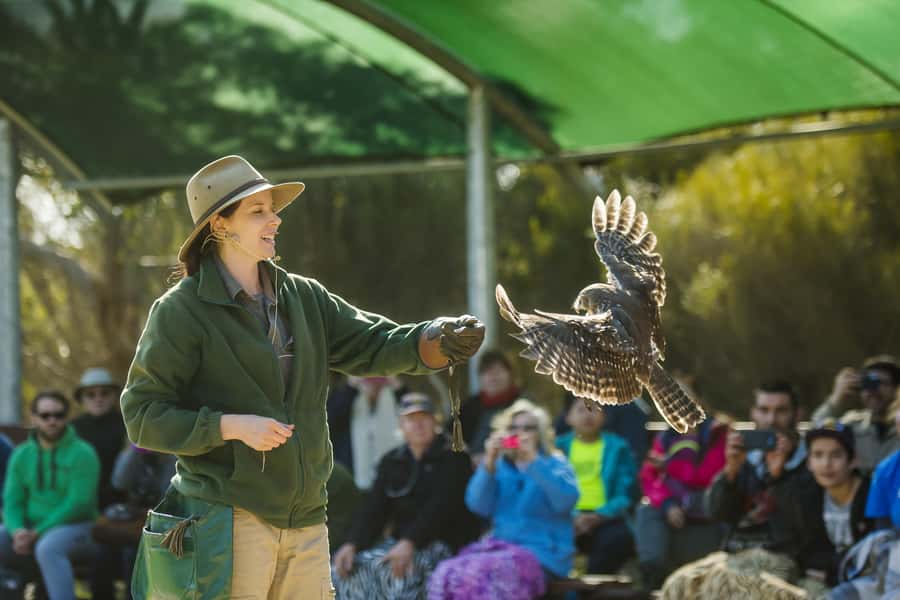 From Adelaide: Kangaroo Island Sip and See Day Trip - Birds of Prey at Raptor Domain