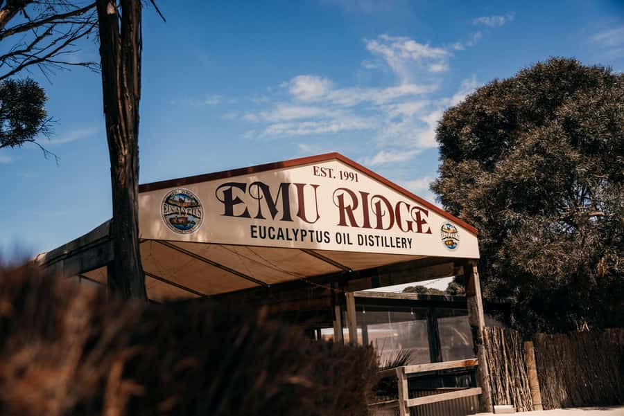 From Adelaide: Kangaroo Island Sip and See Day Trip - Penneshaw dinner and the long ride home