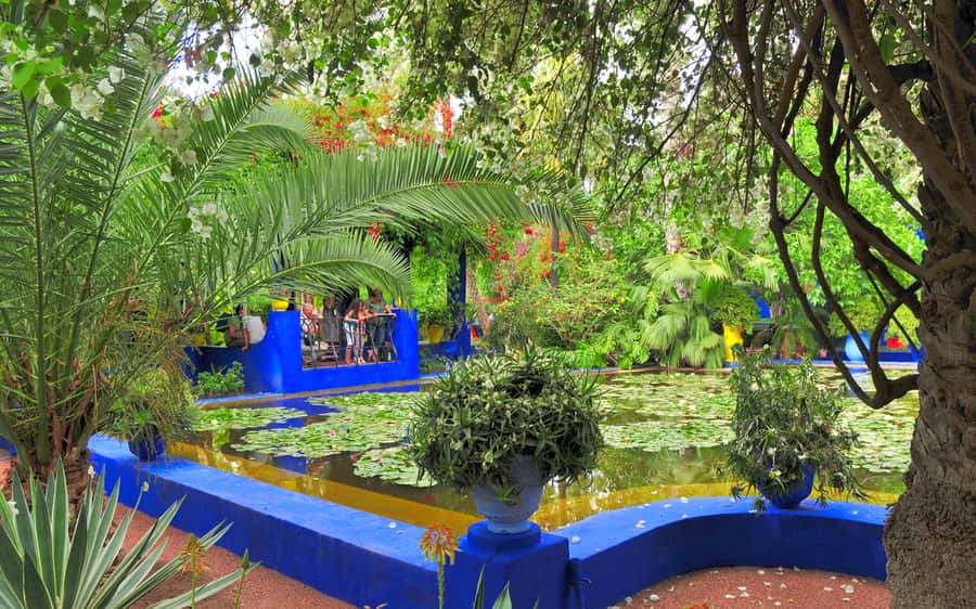From Agadir: Guided Day Trip to Marrakech - Key points to know before booking