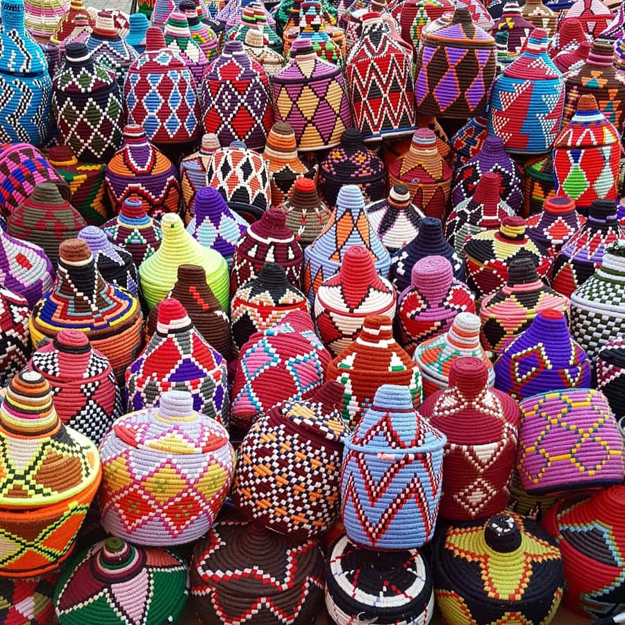 From Agadir: Guided Day Trip to Marrakech - Who will enjoy this day trip most