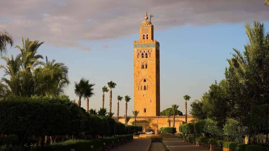 From Agadir: Guided Day Trip to Marrakech - The long road from Agadir to Marrakech
