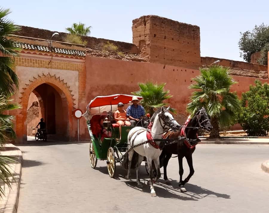 From Agadir: Guided Day Trip to Marrakech - Bahia Palace and the limits of the included sightseeing
