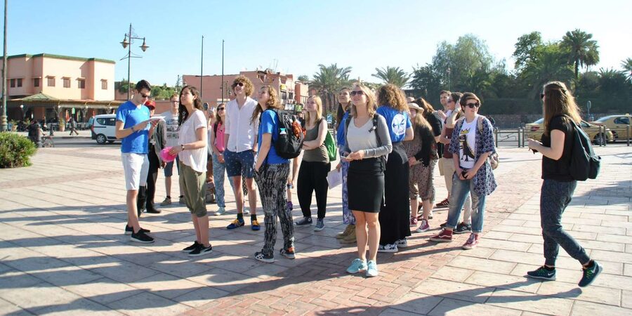 From Agadir: Guided Day Trip to Marrakech - The argan oil and natural products stop