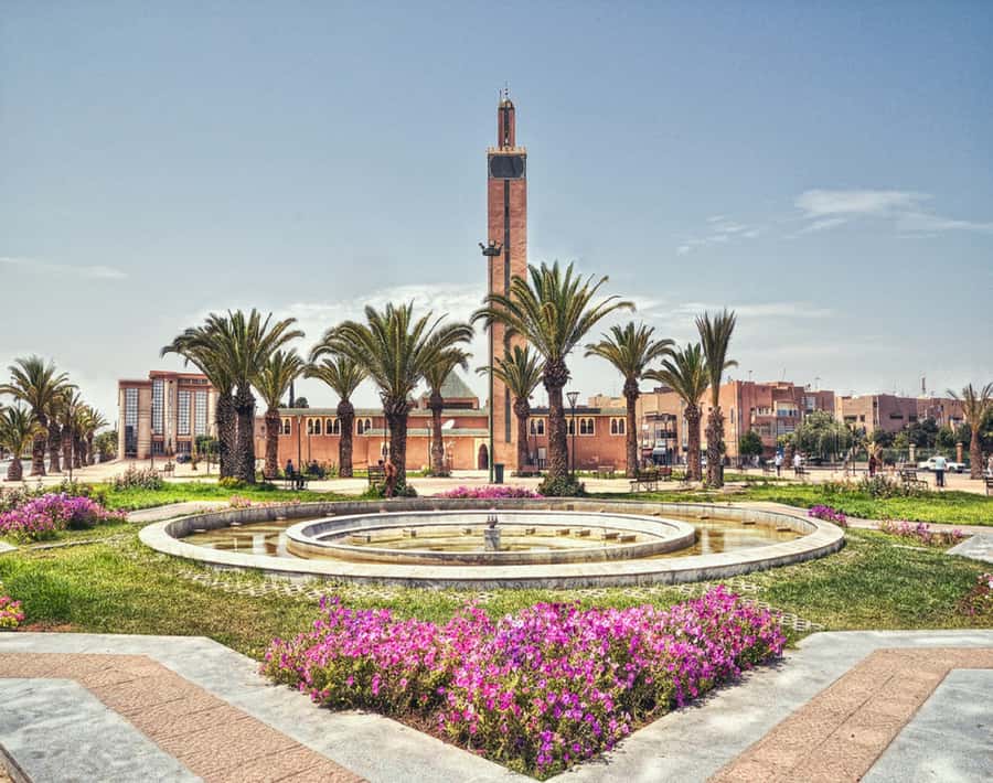 From Agadir: Legzira Beach & Tiznit Day Trip with Lunch - Who should take this day trip?