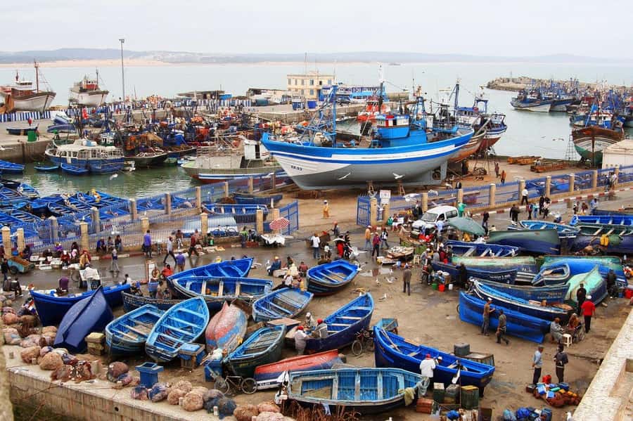 From Agadir or Taghazout : Essaouira Day Trip - Arriving in Essaouira and getting your bearings