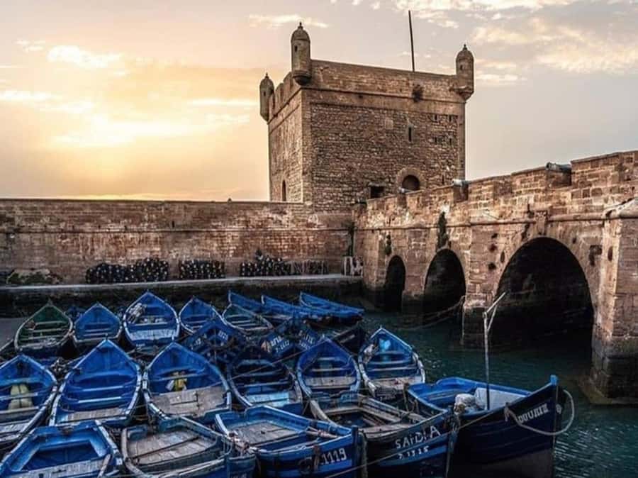From Agadir or Taghazout : Essaouira Day Trip - The harbor, port, and municipal market