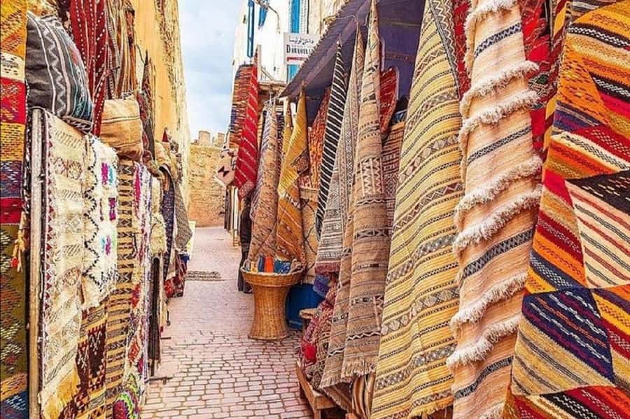 From Agadir or Taghazout : Essaouira Day Trip - Two hours to eat, shop, and see the beach