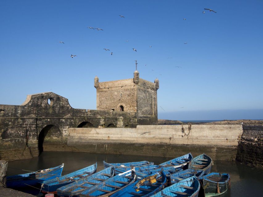 From Agadir or Taghazout: Essaouira Day Trip with Transfer - Who should book this day trip?