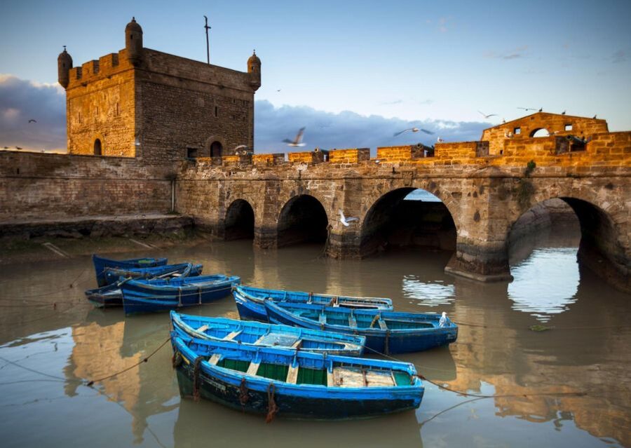 From Agadir or Taghazout: Essaouira Day Trip with Transfer - Free time for the Medina, port, or beach