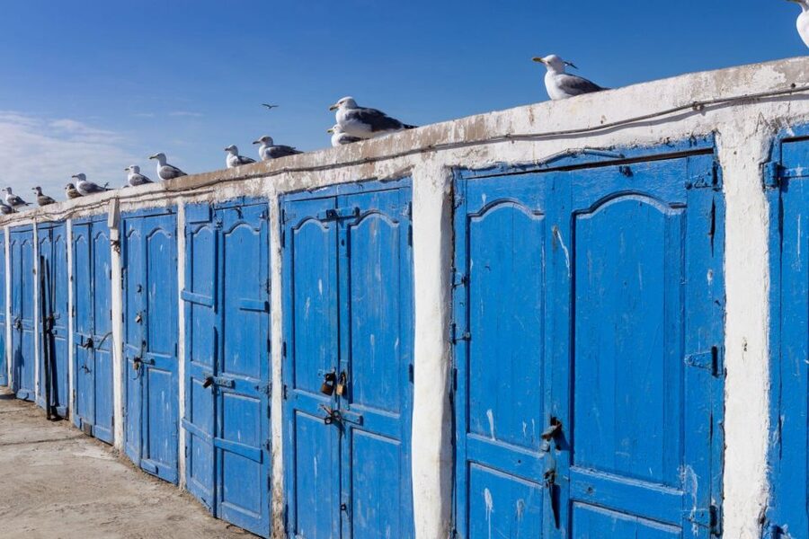 From Agadir or Taghazout: Essaouira Day Trip with Transfer - What the guides add to the day