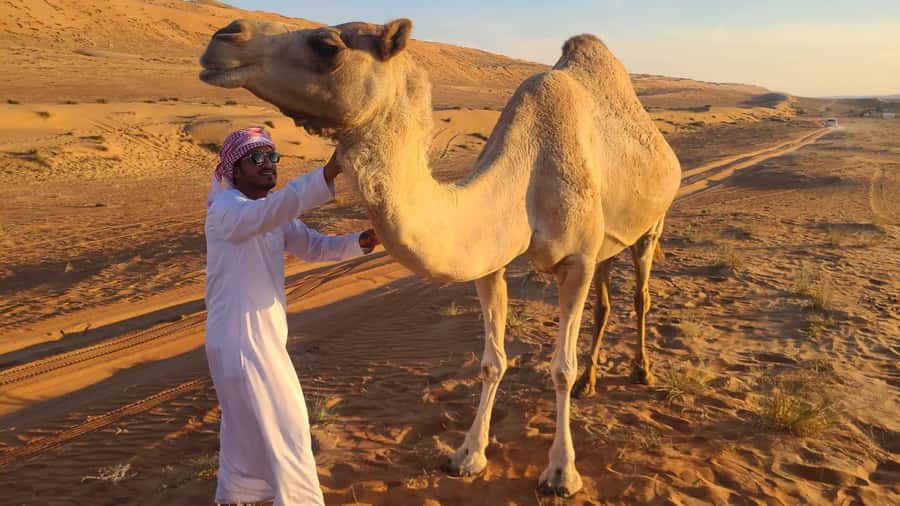 From Agadir: Sahara Desert Day Trip and Camel Ride - Why this day trip works for first-time visitors to Agadir