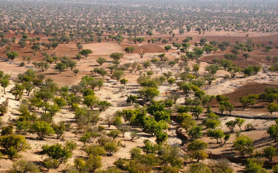 From Agadir: Sahara Desert Day Trip and Camel Ride - Through the Massa Valley and Berber villages