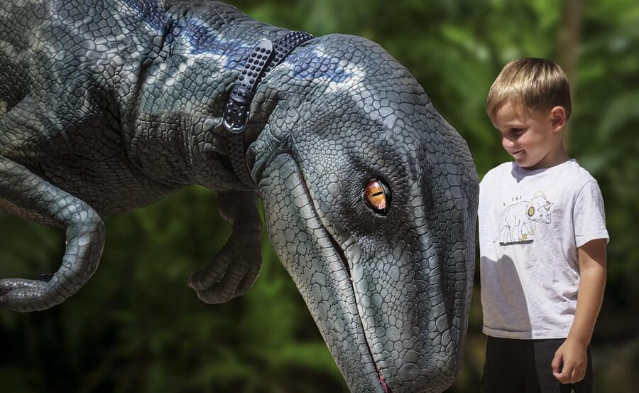 From Alcúdia: Dinosaurland and Hams' Caves Half-Day Trip - Two worlds near Manacor in one half-day