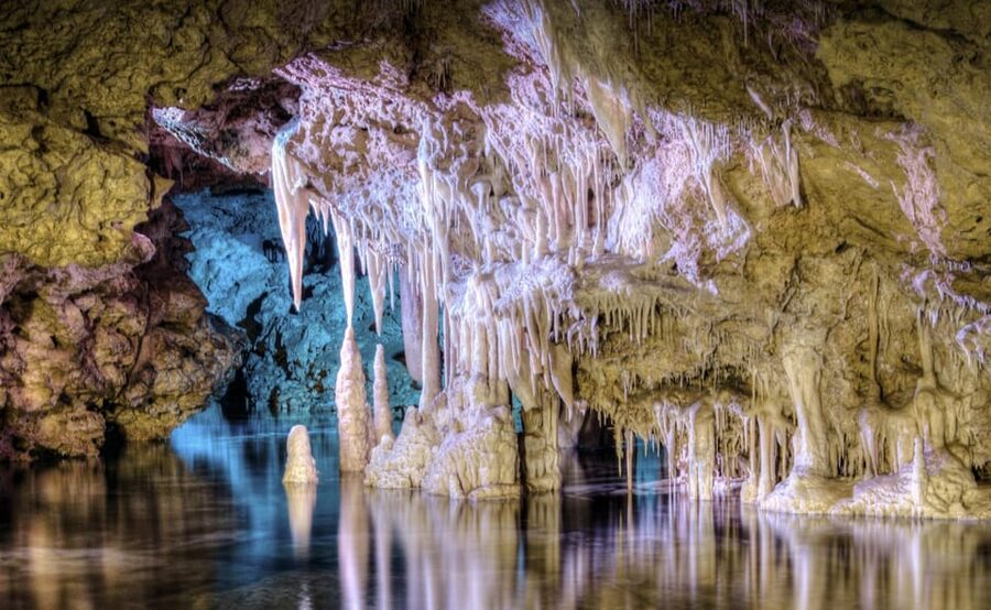 From Alcúdia: Dinosaurland and Hams' Caves Half-Day Trip - How the timing shapes your day