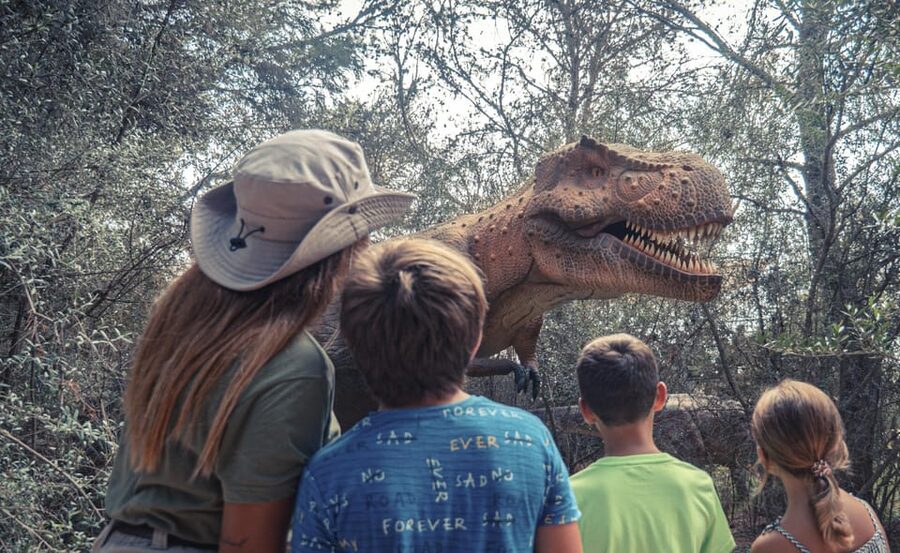 From Alcúdia: Dinosaurland and Hams' Caves Half-Day Trip - Is $68 a fair price?