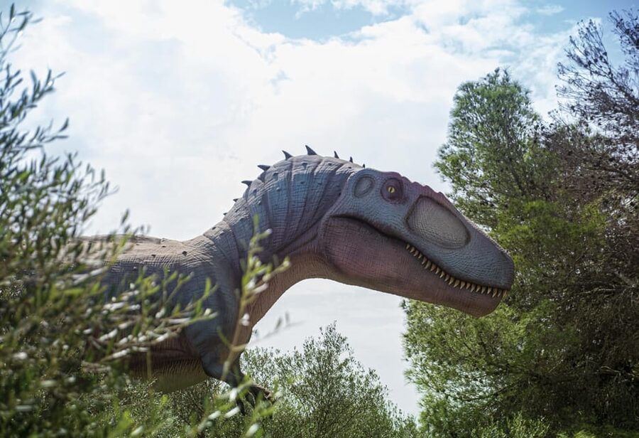 From Alcúdia: Dinosaurland and Hams' Caves Half-Day Trip - Small details that make the visit smoother